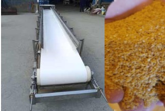 belt conveyor